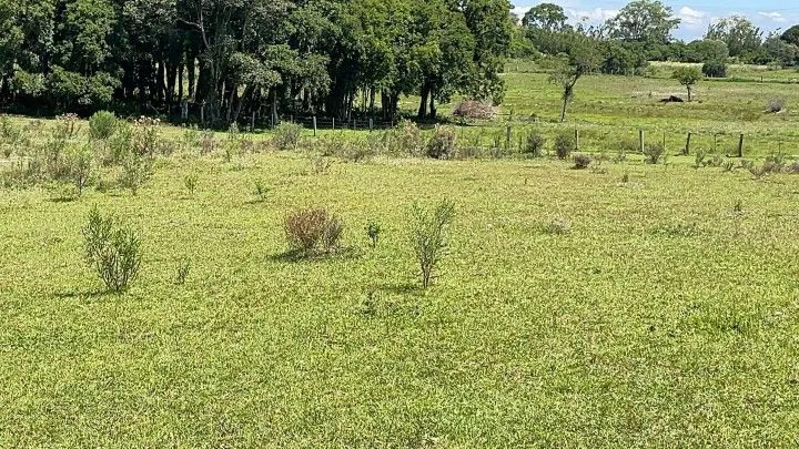 Sítio à venda de 6 ha em Santo Antônio da Patrulha, RS, Brasil