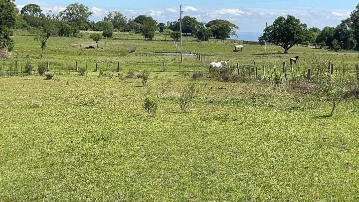 Sítio à venda de 6 ha em Santo Antônio da Patrulha, RS, Brasil