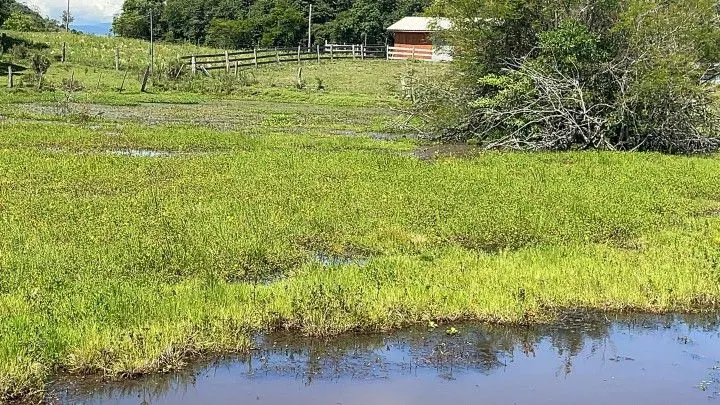 Sítio à venda de 6 ha em Santo Antônio da Patrulha, RS, Brasil