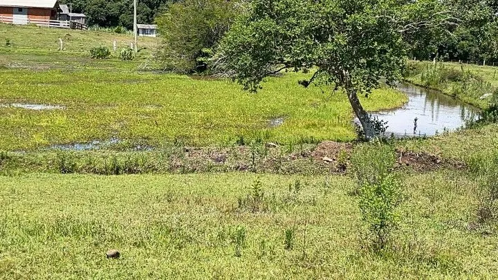 Sítio à venda de 6 ha em Santo Antônio da Patrulha, RS, Brasil