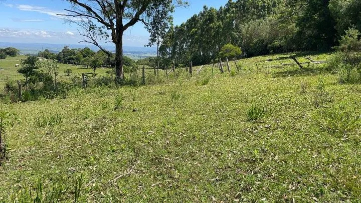 Sítio à venda de 6 ha em Santo Antônio da Patrulha, RS, Brasil