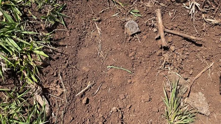 Sítio à venda de 6 ha em Santo Antônio da Patrulha, RS, Brasil