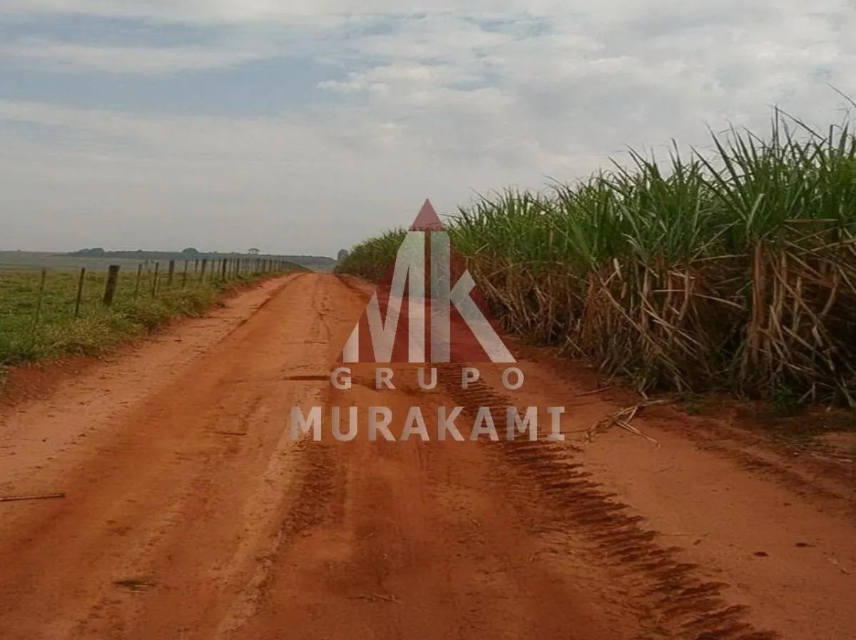 Fazenda à venda de 1.275 ha em Presidente Prudente, SP, Brasil