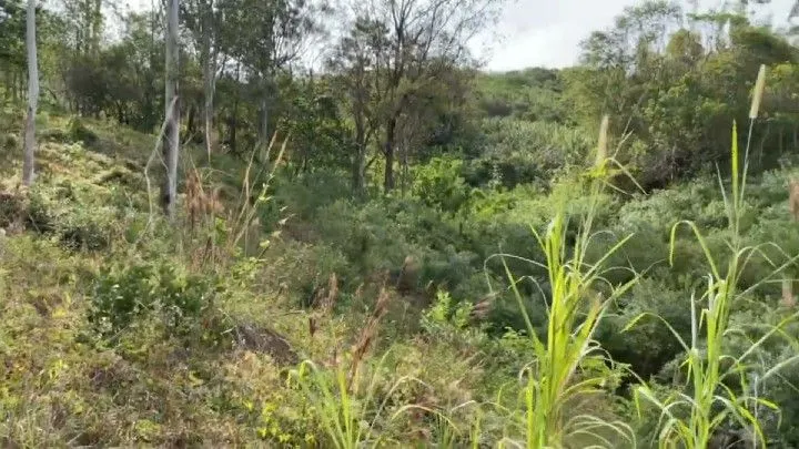 Chácara à venda de 3 ha em Três Cachoeiras, RS, Brasil