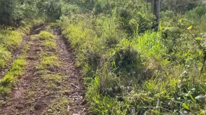 Chácara à venda de 3 ha em Três Cachoeiras, RS, Brasil