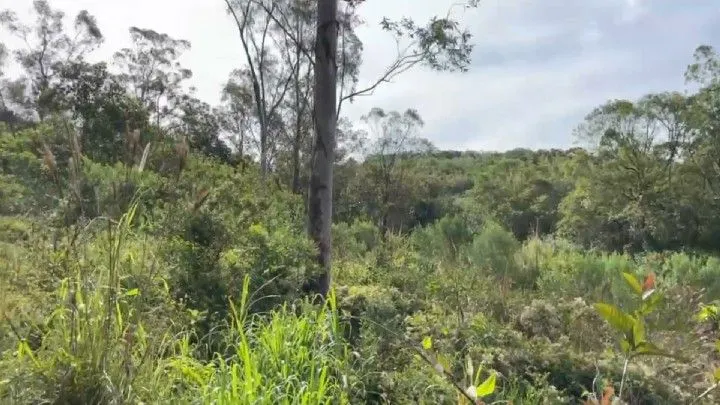 Chácara à venda de 3 ha em Três Cachoeiras, RS, Brasil