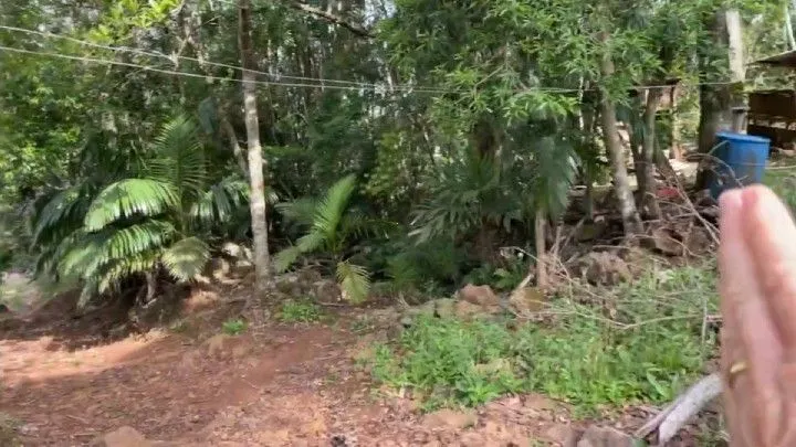Chácara à venda de 3 ha em Três Cachoeiras, RS, Brasil