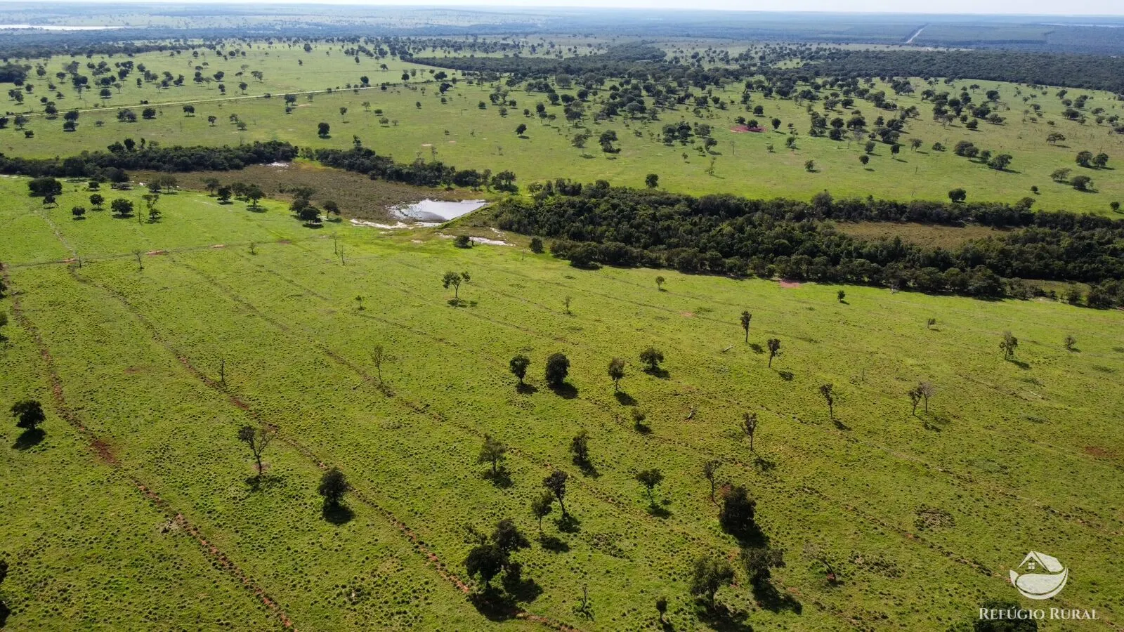 Fazenda à venda de 1.909 ha em Inocência, MS, Brasil
