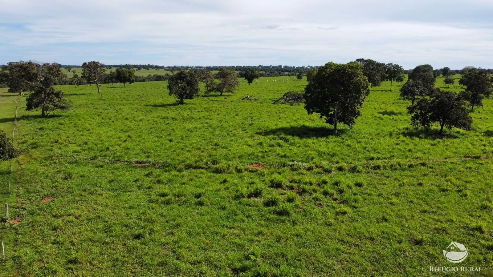 Fazenda à venda de 1.909 ha em Inocência, MS, Brasil