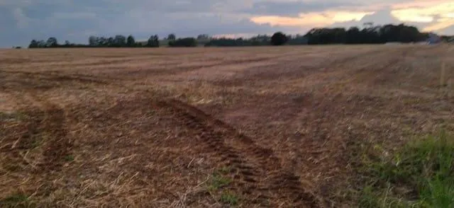 Fazenda à venda de 65 ha em Campina do Monte Alegre, SP, Brasil