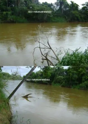 Fazenda à venda de 65 ha em Campina do Monte Alegre, SP, Brasil