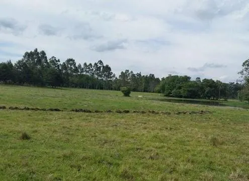 Fazenda à venda de 65 ha em Campina do Monte Alegre, SP, Brasil