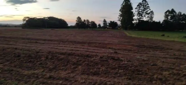 Fazenda à venda de 65 ha em Campina do Monte Alegre, SP, Brasil