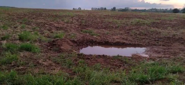 Fazenda à venda de 65 ha em Campina do Monte Alegre, SP, Brasil