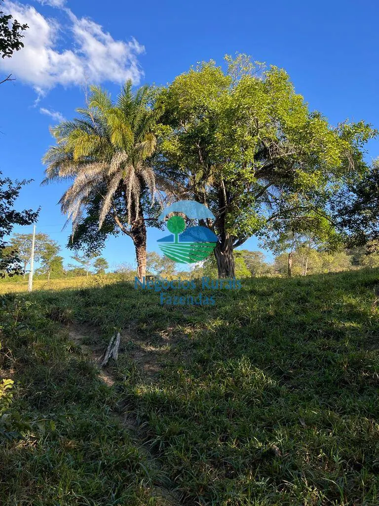 Fazenda à venda de 206 ha em Cromínia, GO, Brasil