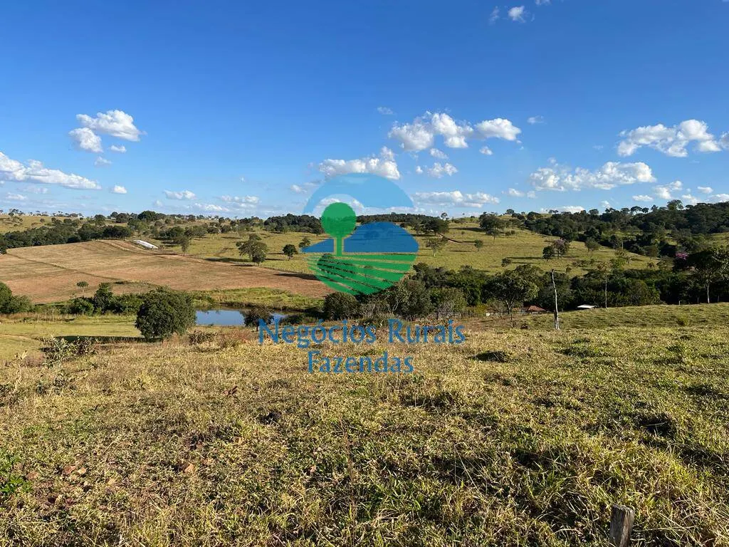 Fazenda à venda de 206 ha em Cromínia, GO, Brasil