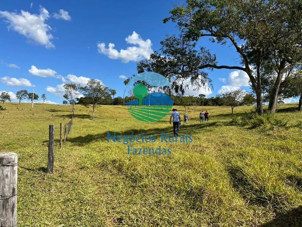 Fazenda à venda de 206 ha em Cromínia, GO, Brasil