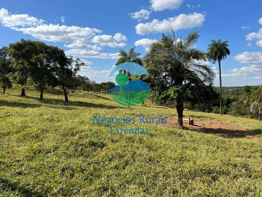 Fazenda à venda de 206 ha em Cromínia, GO, Brasil