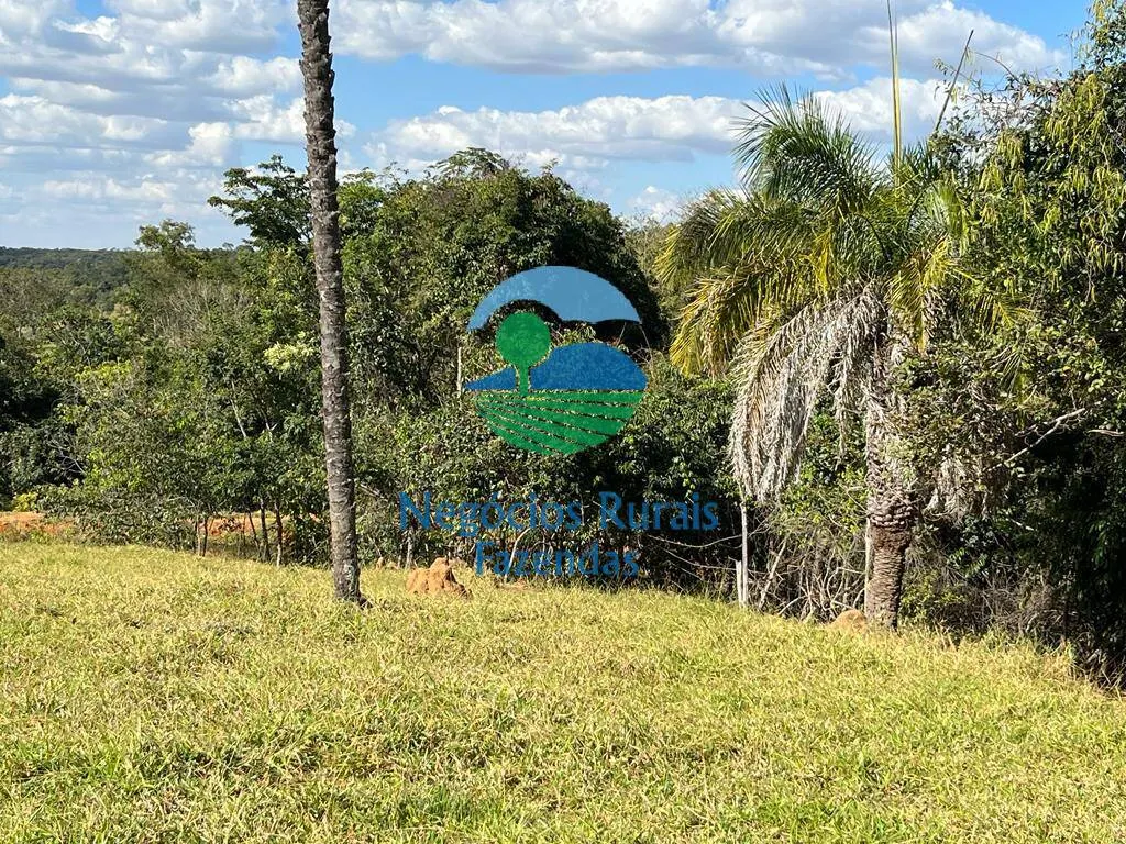 Fazenda à venda de 206 ha em Cromínia, GO, Brasil