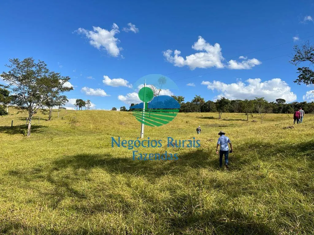Fazenda à venda de 206 ha em Cromínia, GO, Brasil