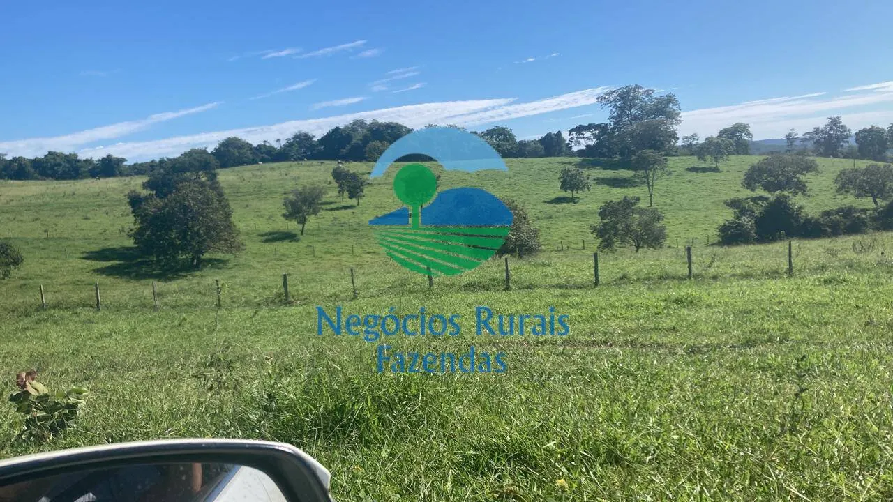 Fazenda à venda de 206 ha em Cromínia, GO, Brasil