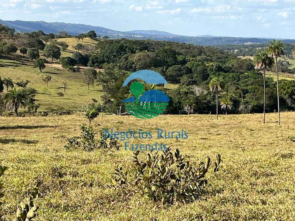Fazenda à venda de 206 ha em Cromínia, GO, Brasil