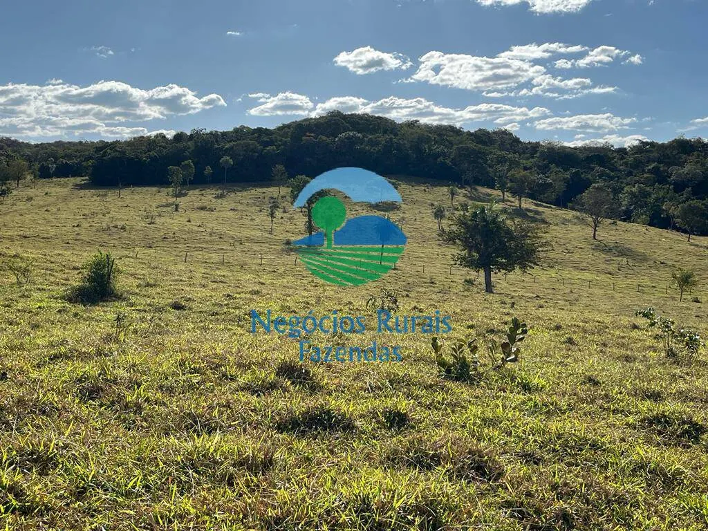 Fazenda à venda de 206 ha em Cromínia, GO, Brasil