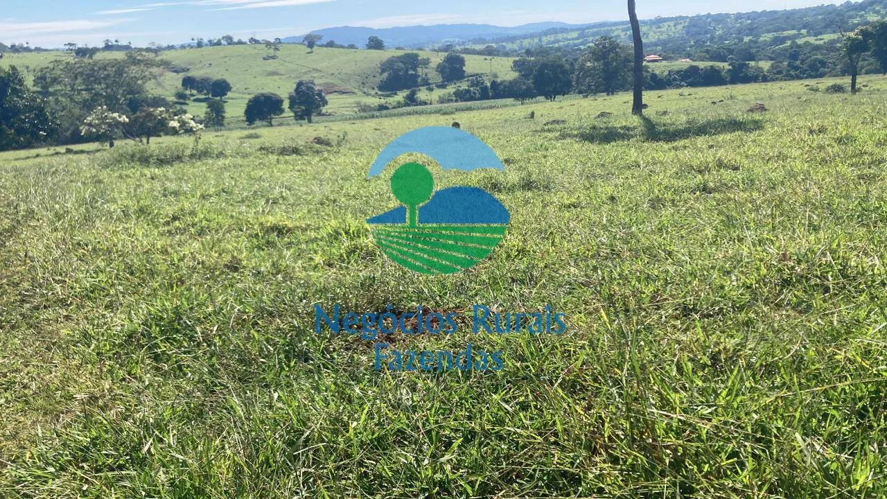 Fazenda à venda de 206 ha em Cromínia, GO, Brasil