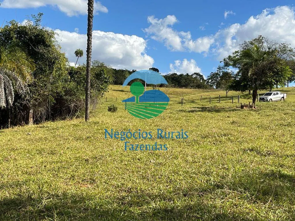 Fazenda à venda de 206 ha em Cromínia, GO, Brasil