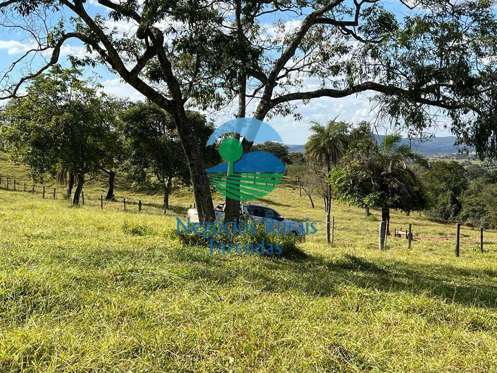 Fazenda à venda de 206 ha em Cromínia, GO, Brasil