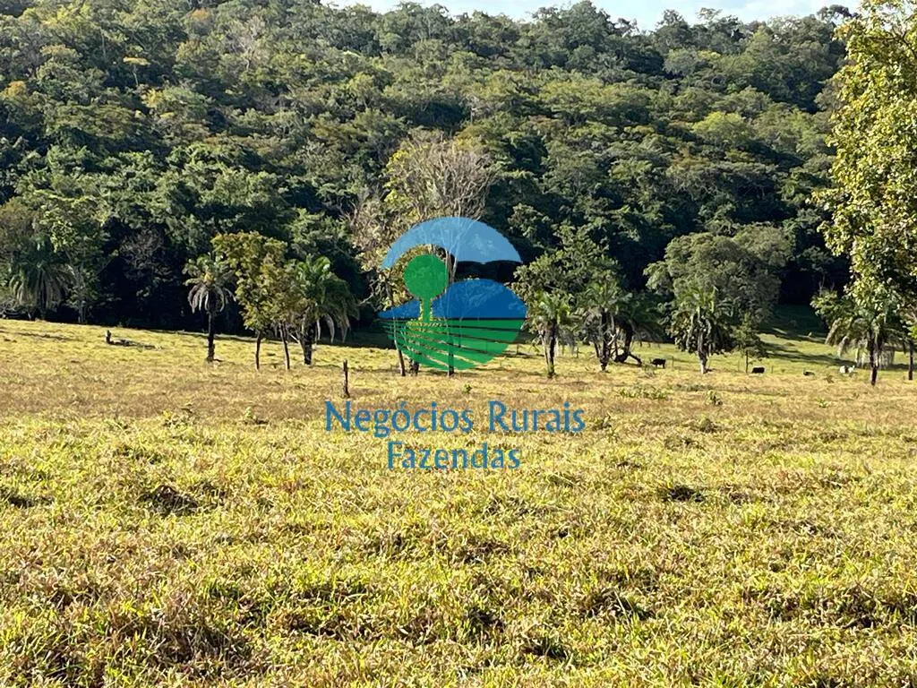 Fazenda à venda de 206 ha em Cromínia, GO, Brasil