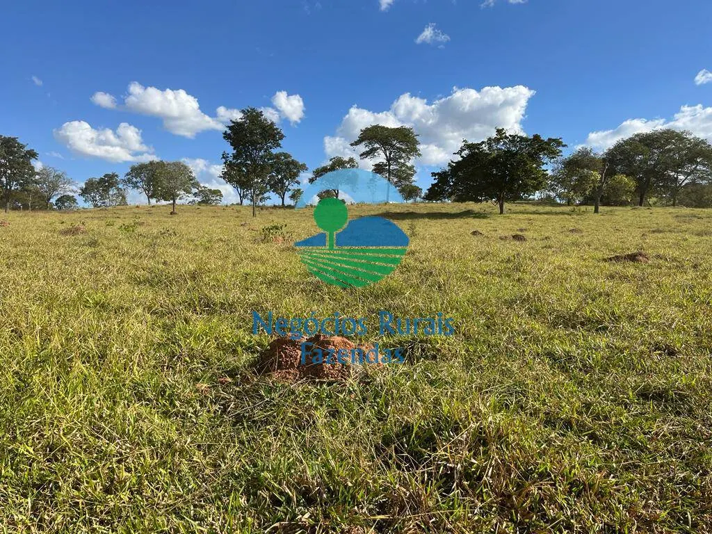 Fazenda à venda de 206 ha em Cromínia, GO, Brasil