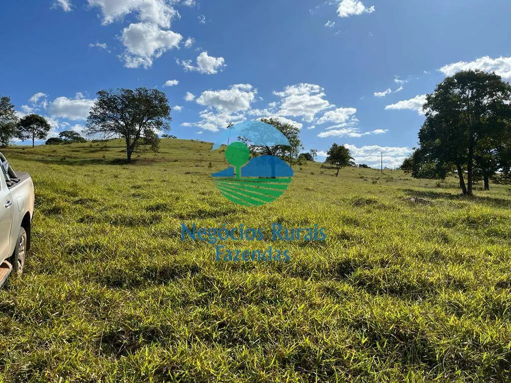 Fazenda à venda de 206 ha em Cromínia, GO, Brasil