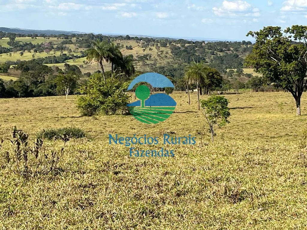 Fazenda à venda de 206 ha em Cromínia, GO, Brasil