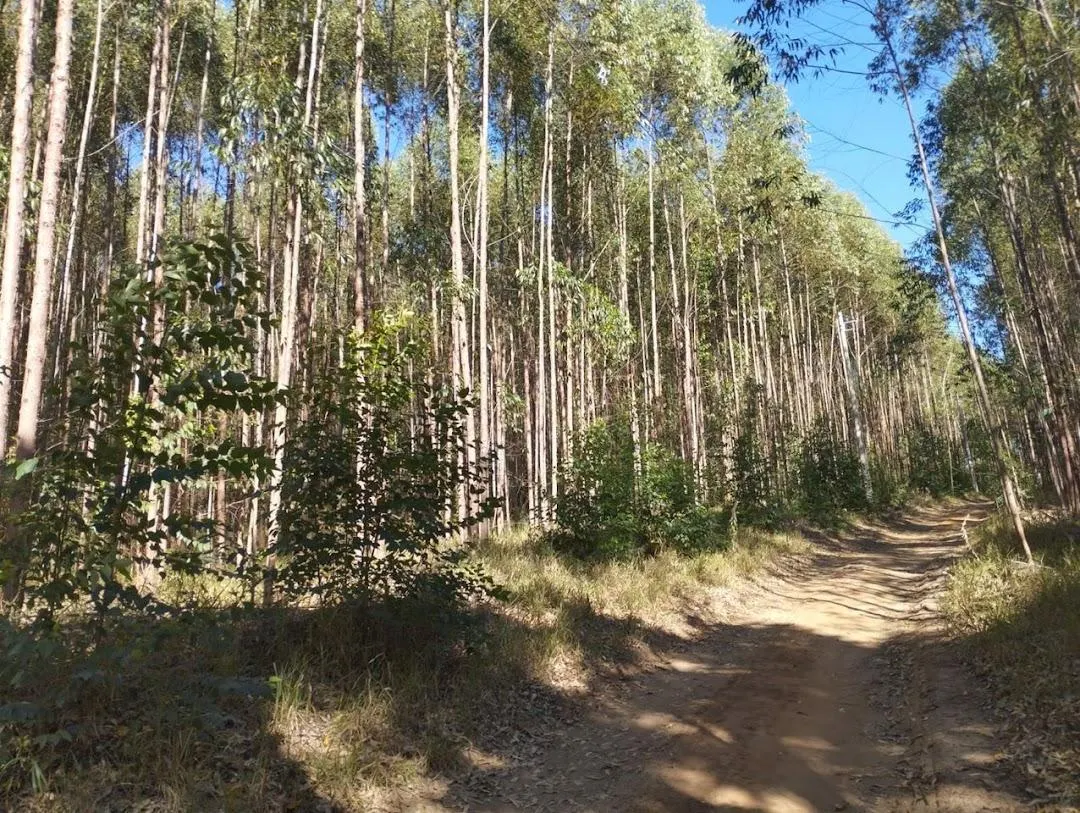 Fazenda à venda de 186 ha em Guareí, SP, Brasil