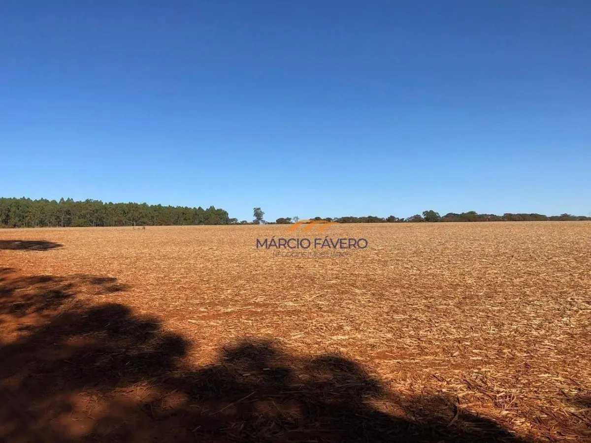Fazenda à venda de 230 ha em São Carlos, SP, Brasil