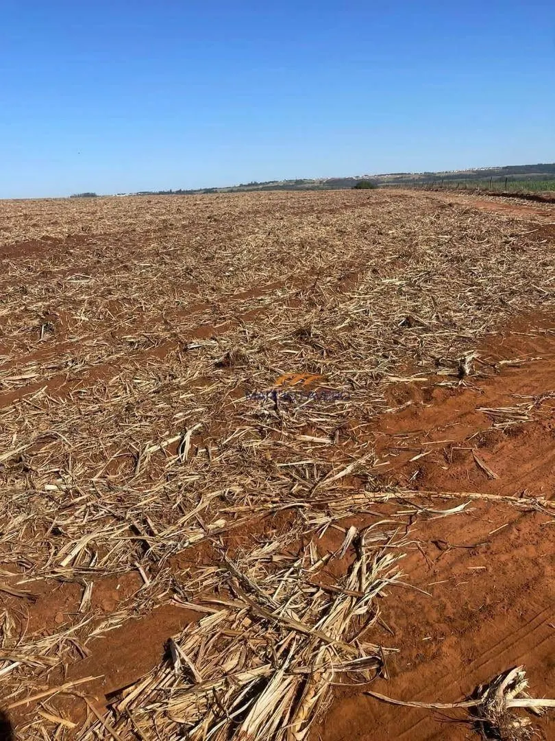 Fazenda à venda de 230 ha em São Carlos, SP, Brasil