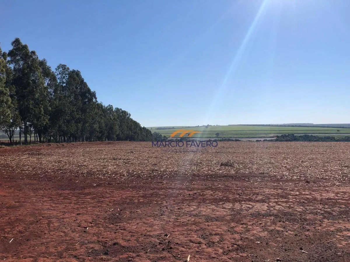 Fazenda à venda de 230 ha em São Carlos, SP, Brasil