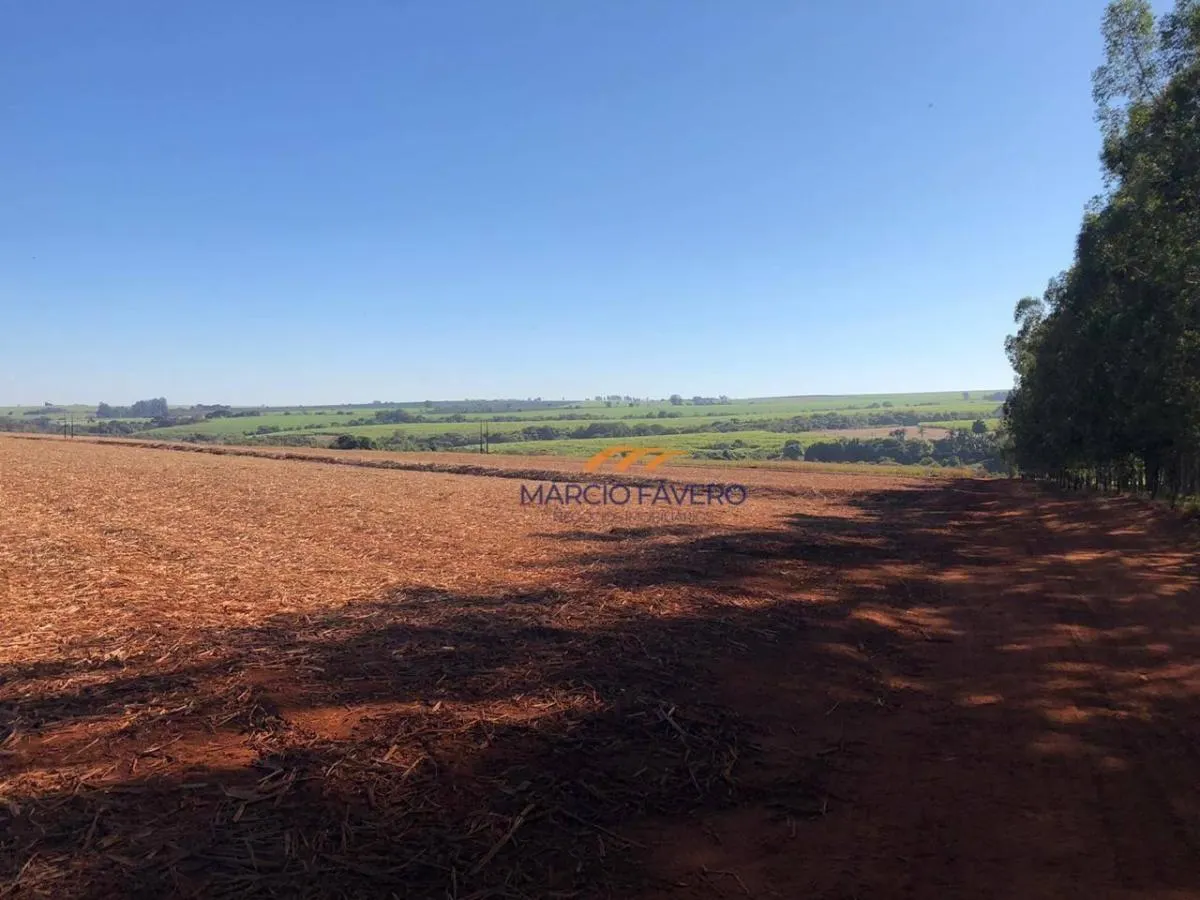 Fazenda à venda de 230 ha em São Carlos, SP, Brasil