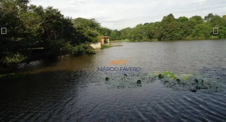 Fazenda à venda de 230 ha em São Carlos, SP, Brasil