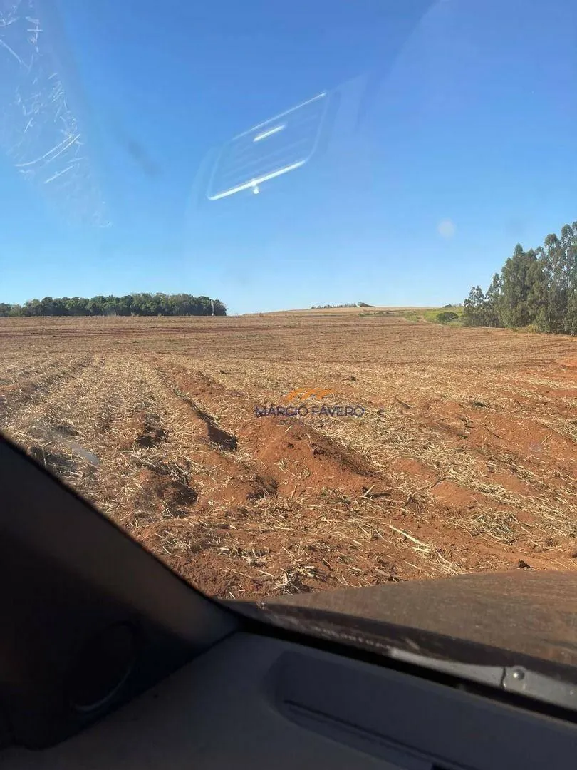 Fazenda à venda de 230 ha em São Carlos, SP, Brasil