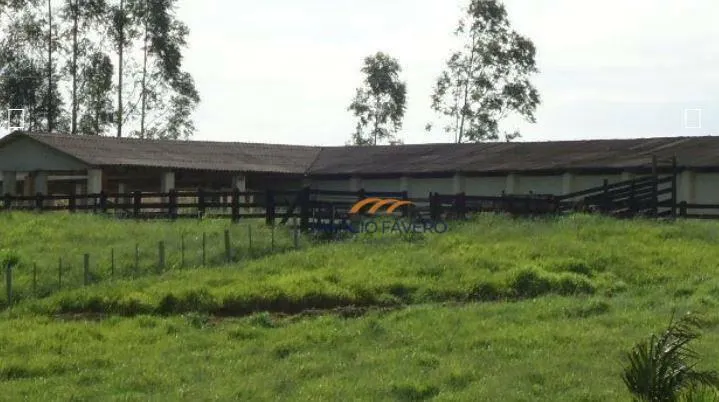 Fazenda à venda de 230 ha em São Carlos, SP, Brasil