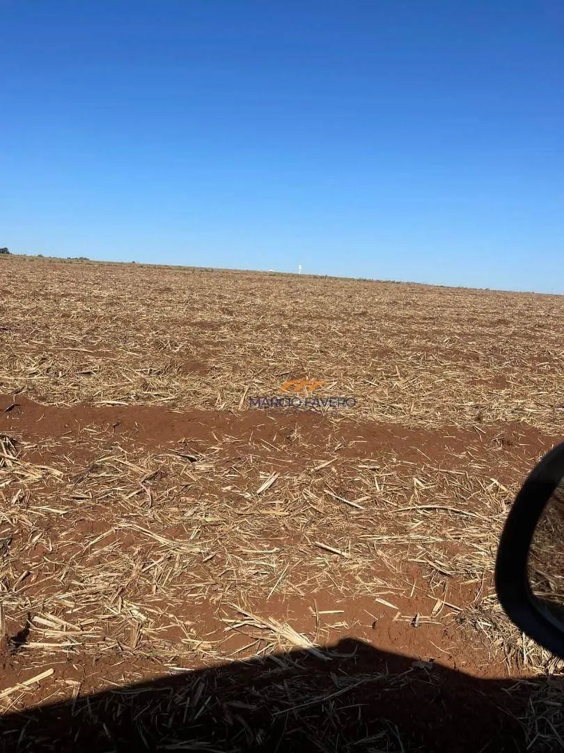 Fazenda à venda de 230 ha em São Carlos, SP, Brasil