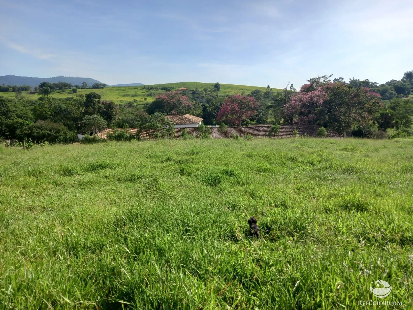 Sítio à venda de 33 ha em São José dos Campos, SP, Brasil