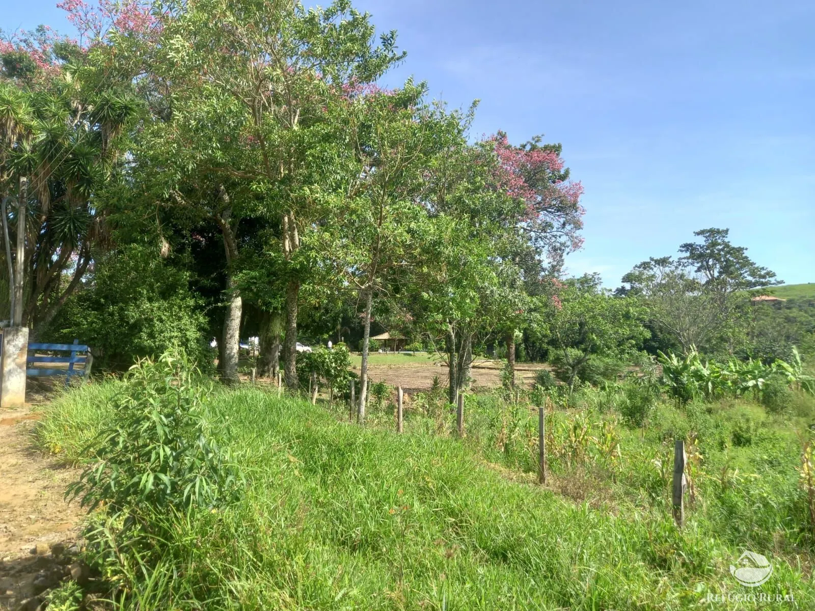 Sítio à venda de 33 ha em São José dos Campos, SP, Brasil