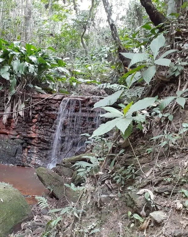 Small farm for sale of 12 acres in São José dos Campos, SP, Brazil