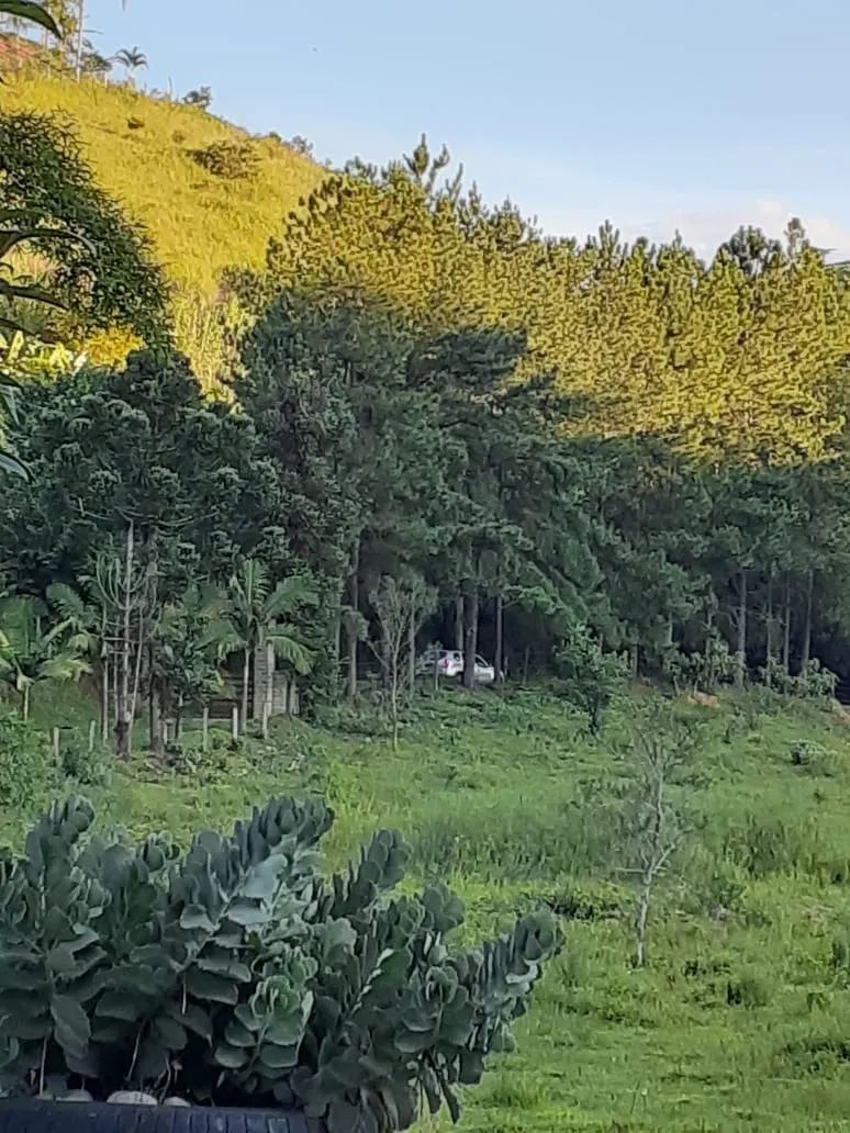 Small farm for sale of 12 acres in São José dos Campos, SP, Brazil