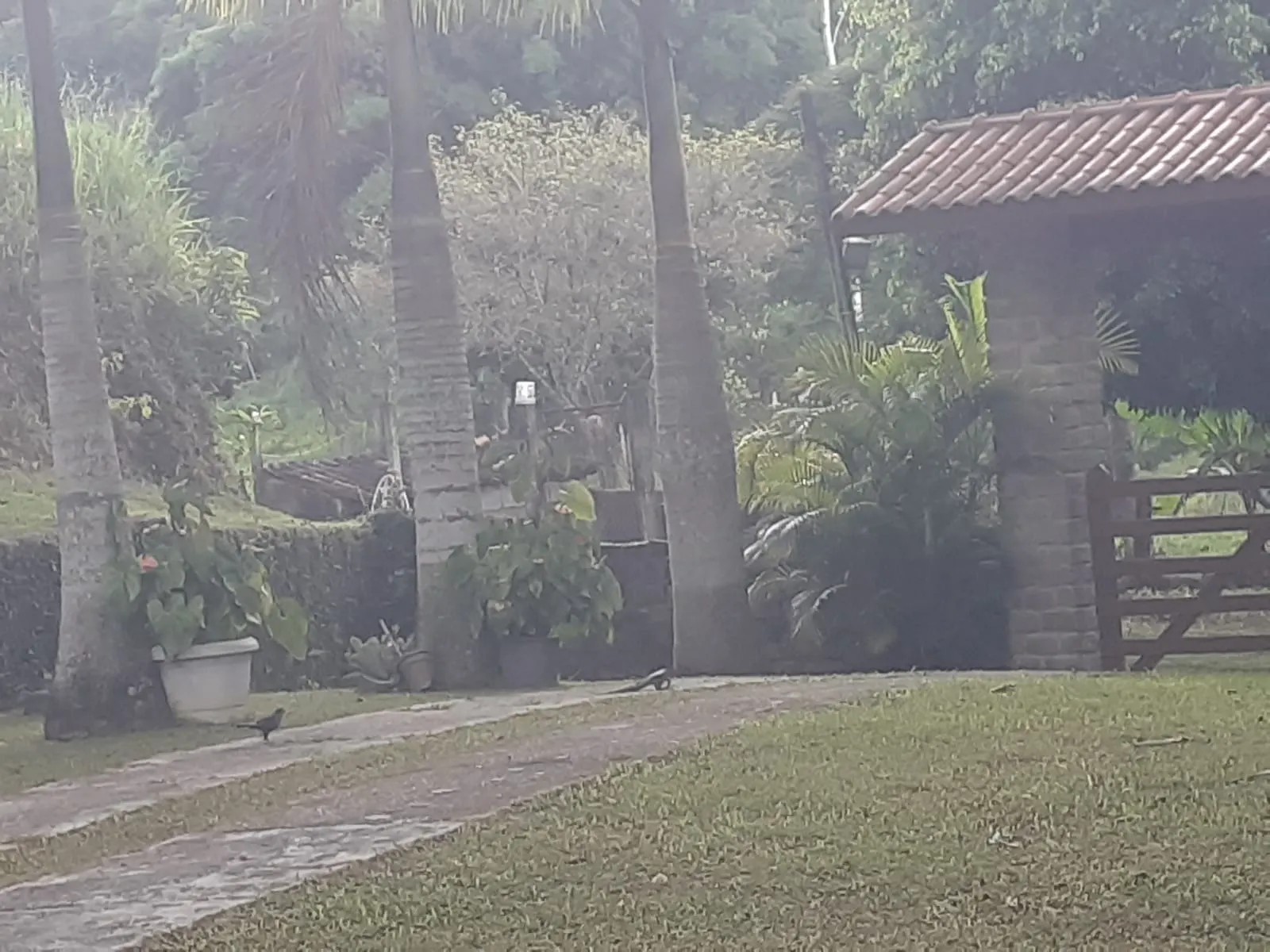 Small farm for sale of 12 acres in São José dos Campos, SP, Brazil