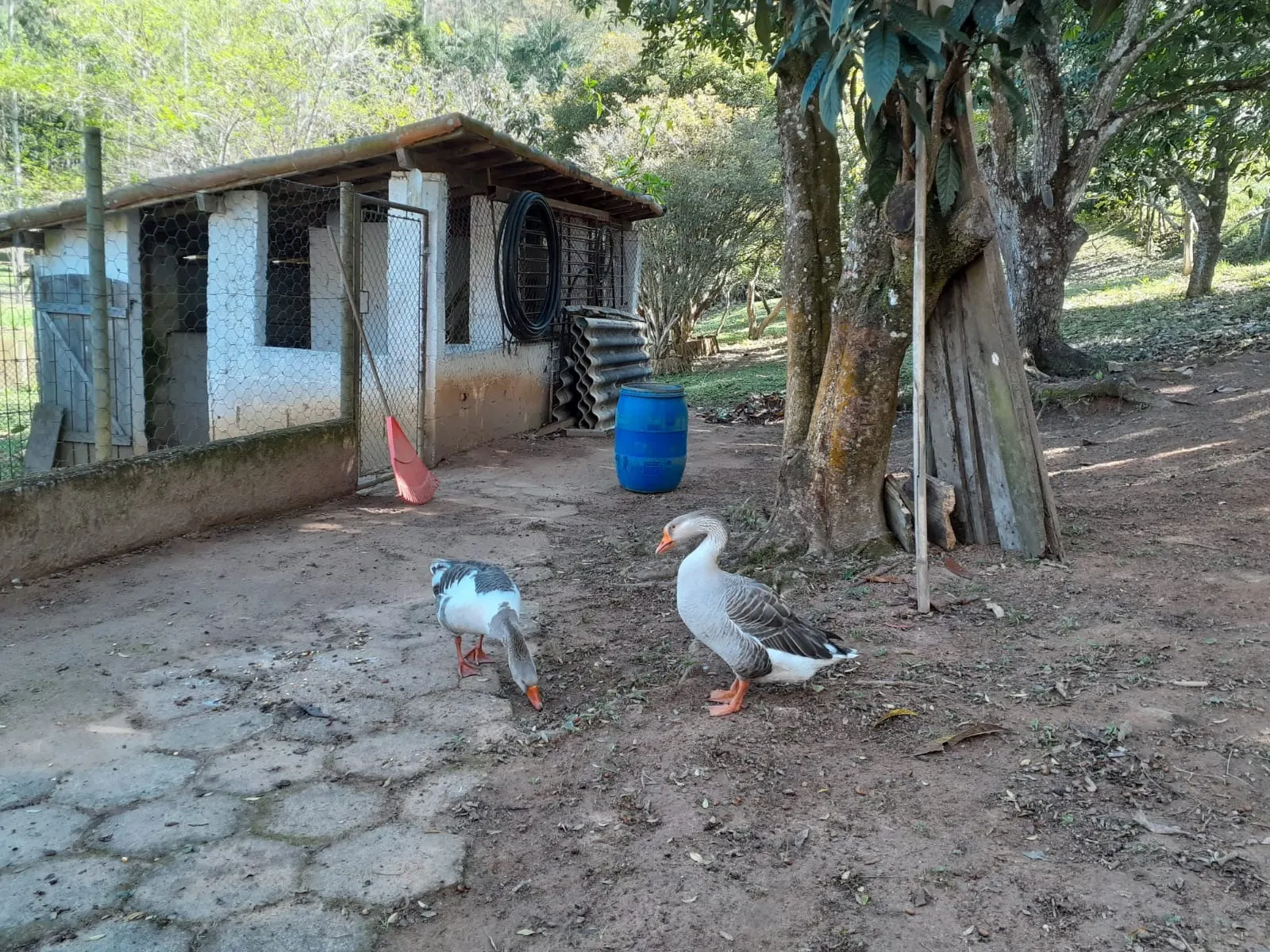 Small farm for sale of 12 acres in São José dos Campos, SP, Brazil