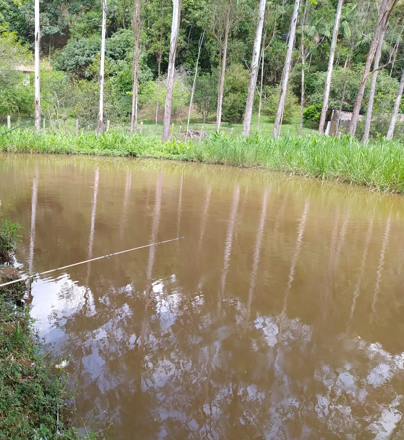 Small farm for sale of 12 acres in São José dos Campos, SP, Brazil